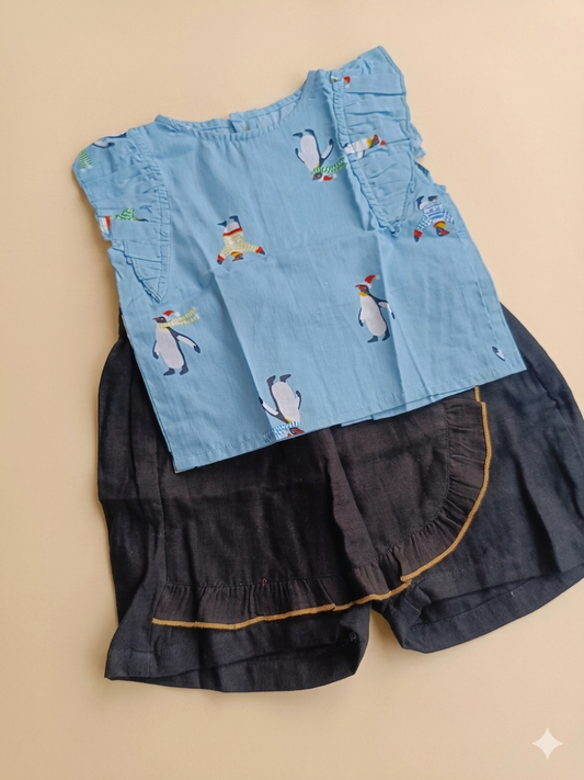4 to 5 Years Girl baby Coord set dress- Cotton ( Pack of two)